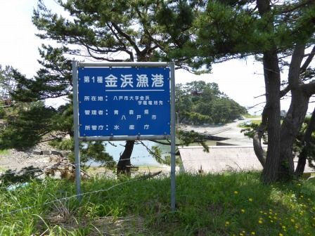 イメージ 4