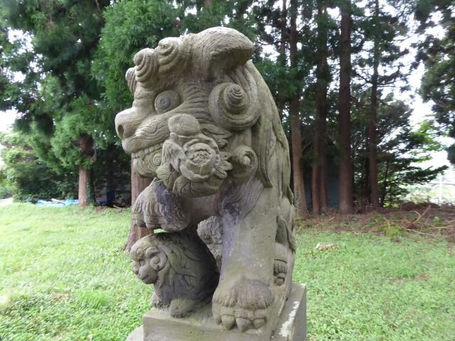 イメージ 13