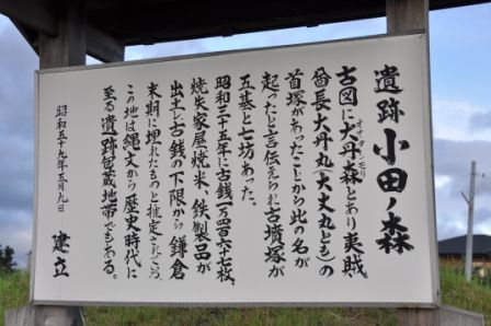 イメージ 23