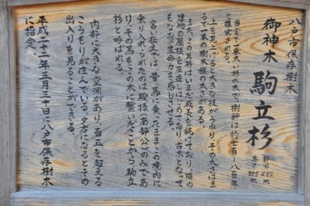 イメージ 39