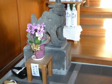 イメージ 7
