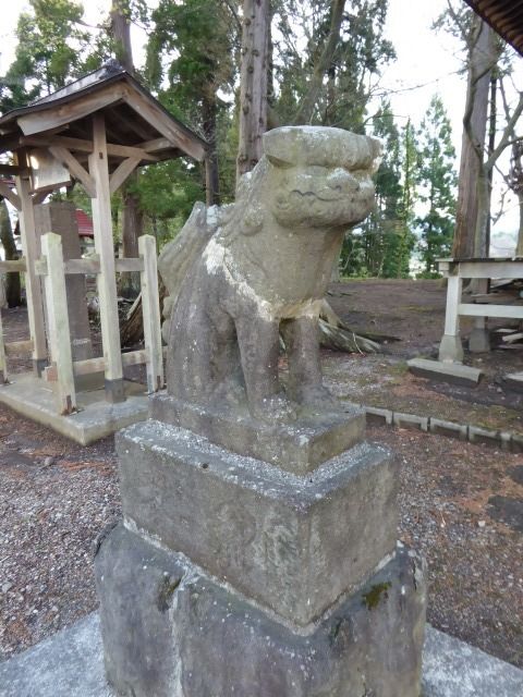 イメージ 17