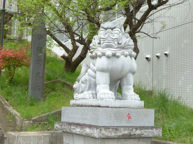イメージ 5