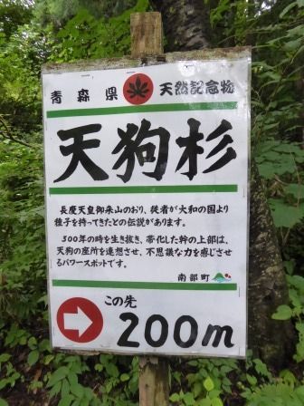 イメージ 28