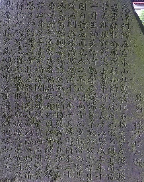 イメージ 14