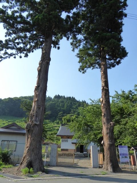 イメージ 5
