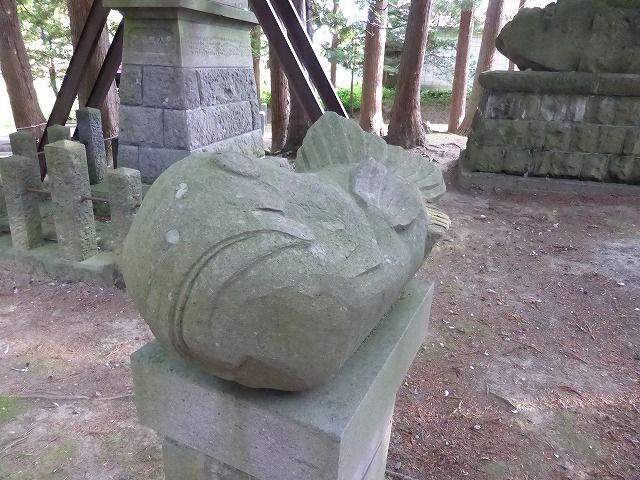イメージ 40
