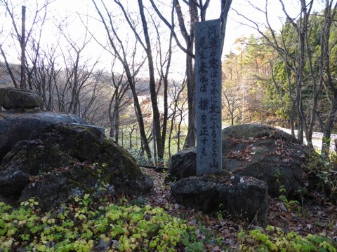 17.6