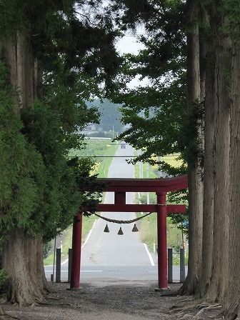 イメージ 3
