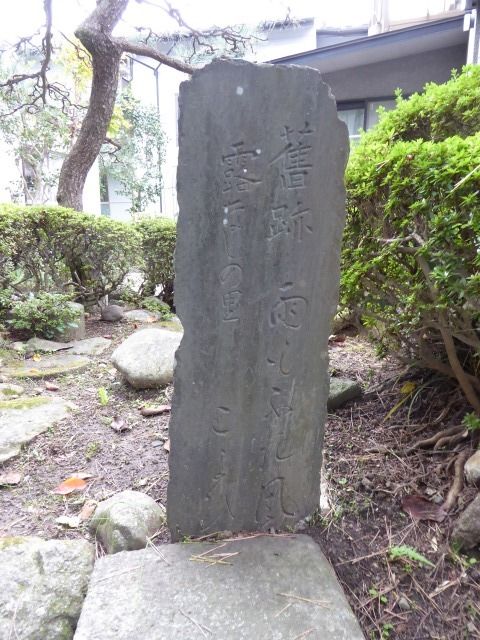 イメージ 13