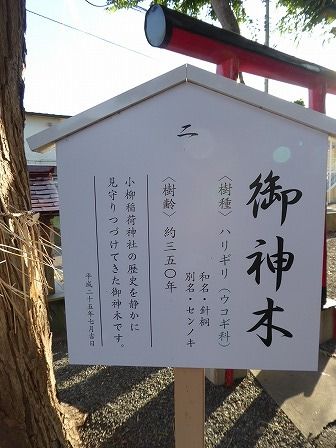 イメージ 18