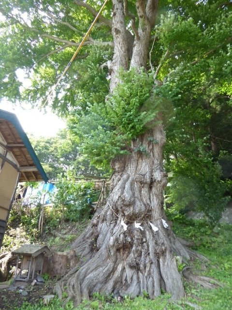 イメージ 6