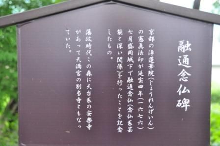 イメージ 27