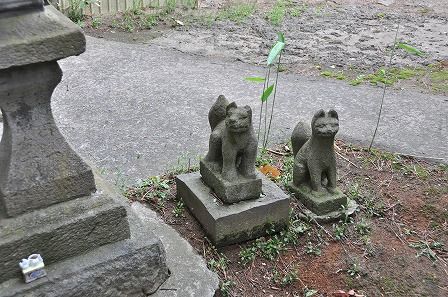 イメージ 12