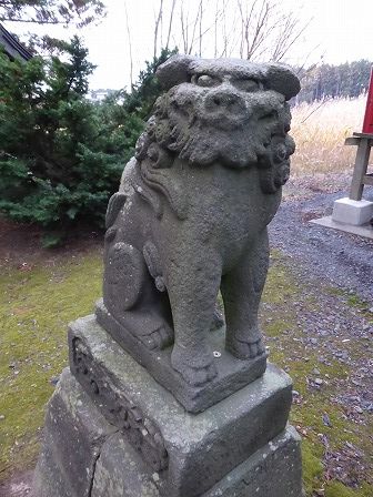 イメージ 17