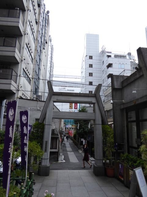 イメージ 27