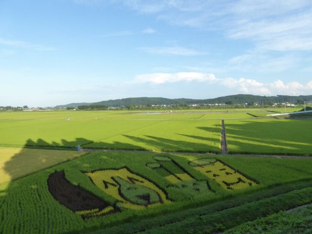 イメージ 4