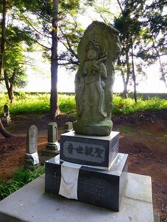 イメージ 14