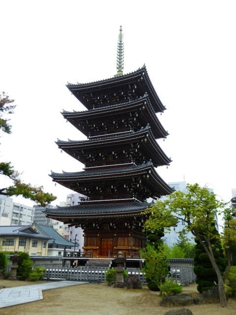 イメージ 42