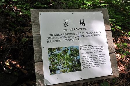 イメージ 29