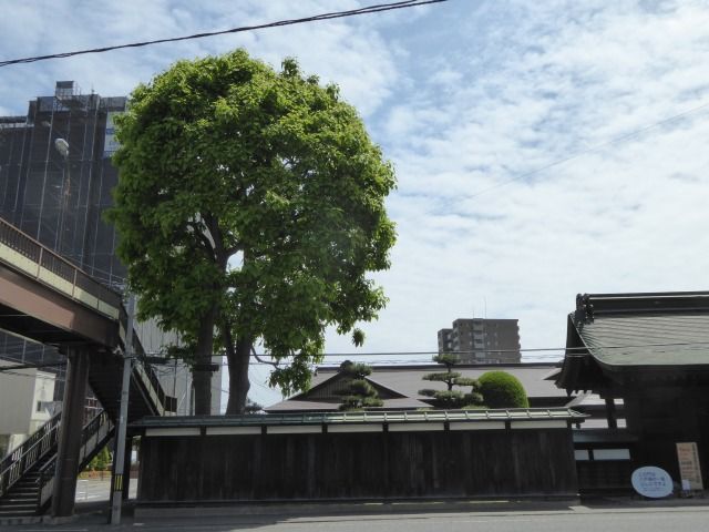 イメージ 21