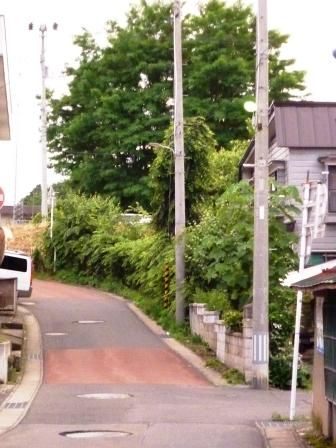 イメージ 8