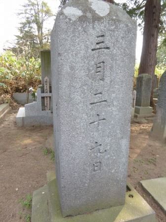 イメージ 17