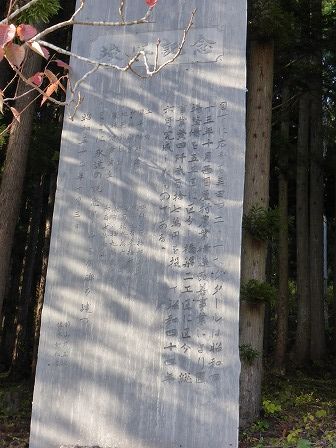 イメージ 8