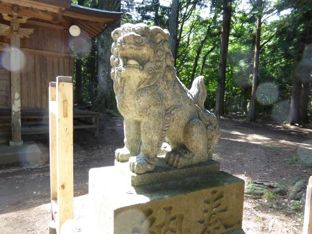イメージ 8