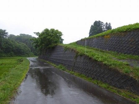 イメージ 2