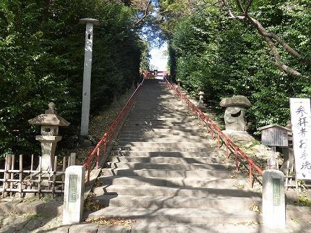 イメージ 16