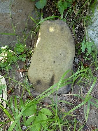 イメージ 8