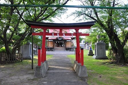 イメージ 8