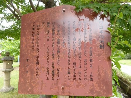 イメージ 11