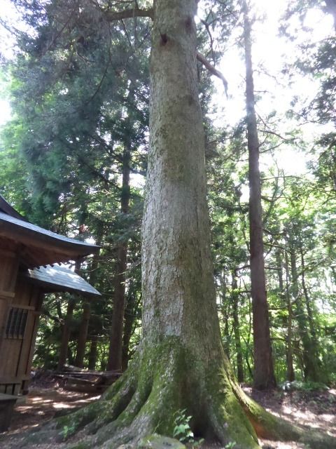 イメージ 23