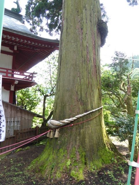イメージ 35