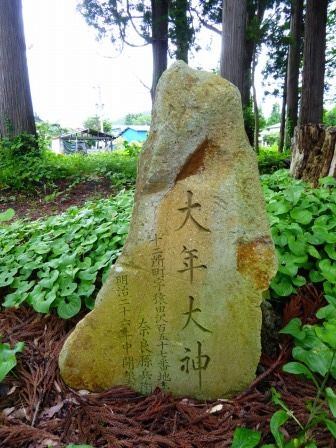 イメージ 11