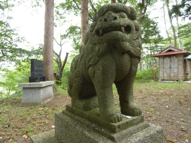 イメージ 15