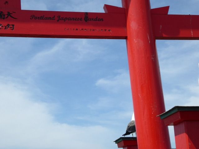 イメージ 16