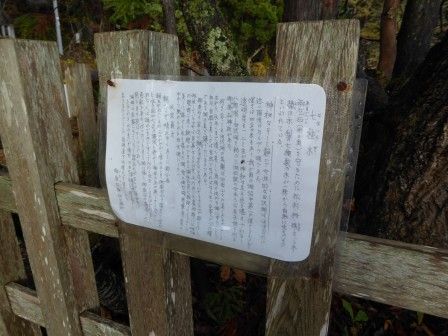 イメージ 11