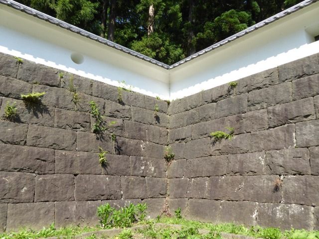 イメージ 17