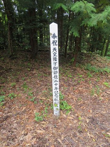 11.4