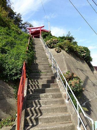 イメージ 8