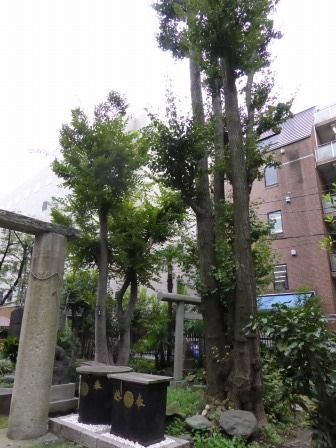イメージ 9