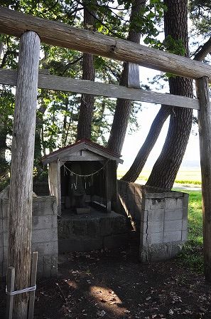 イメージ 17