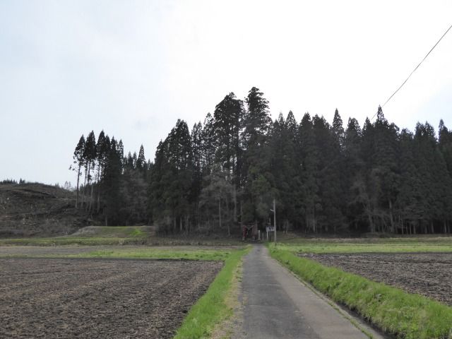 イメージ 27