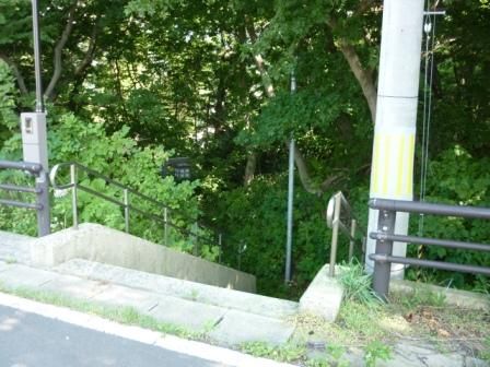 イメージ 6