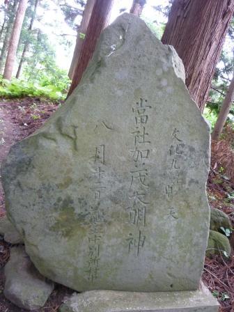 イメージ 8