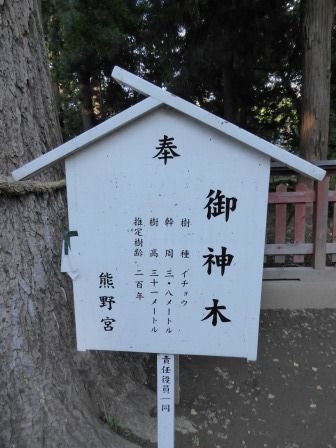 イメージ 16