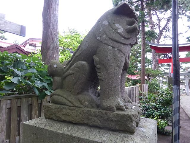 イメージ 12